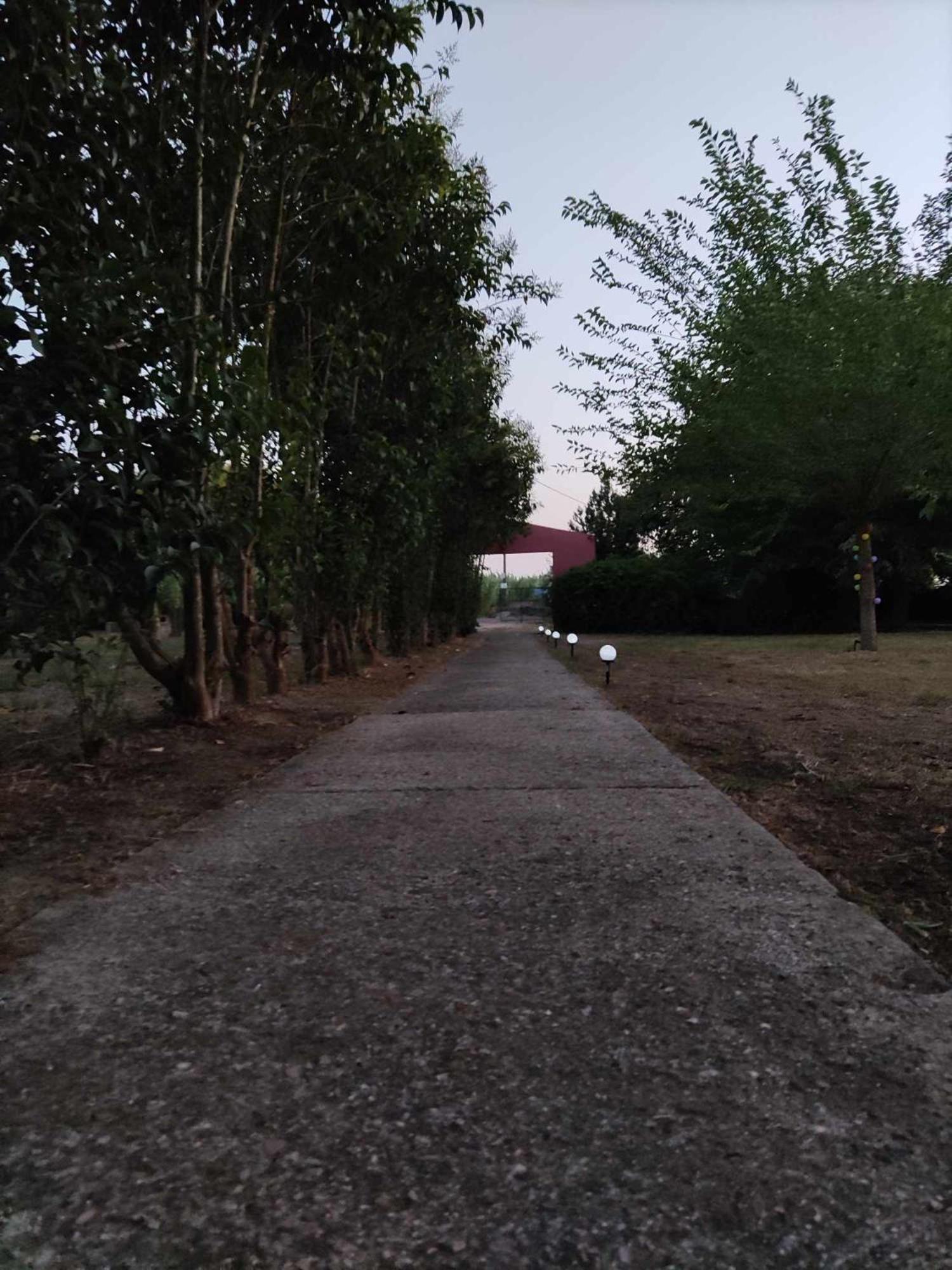 Romvi Village Αμαλιάδα Εξωτερικό φωτογραφία