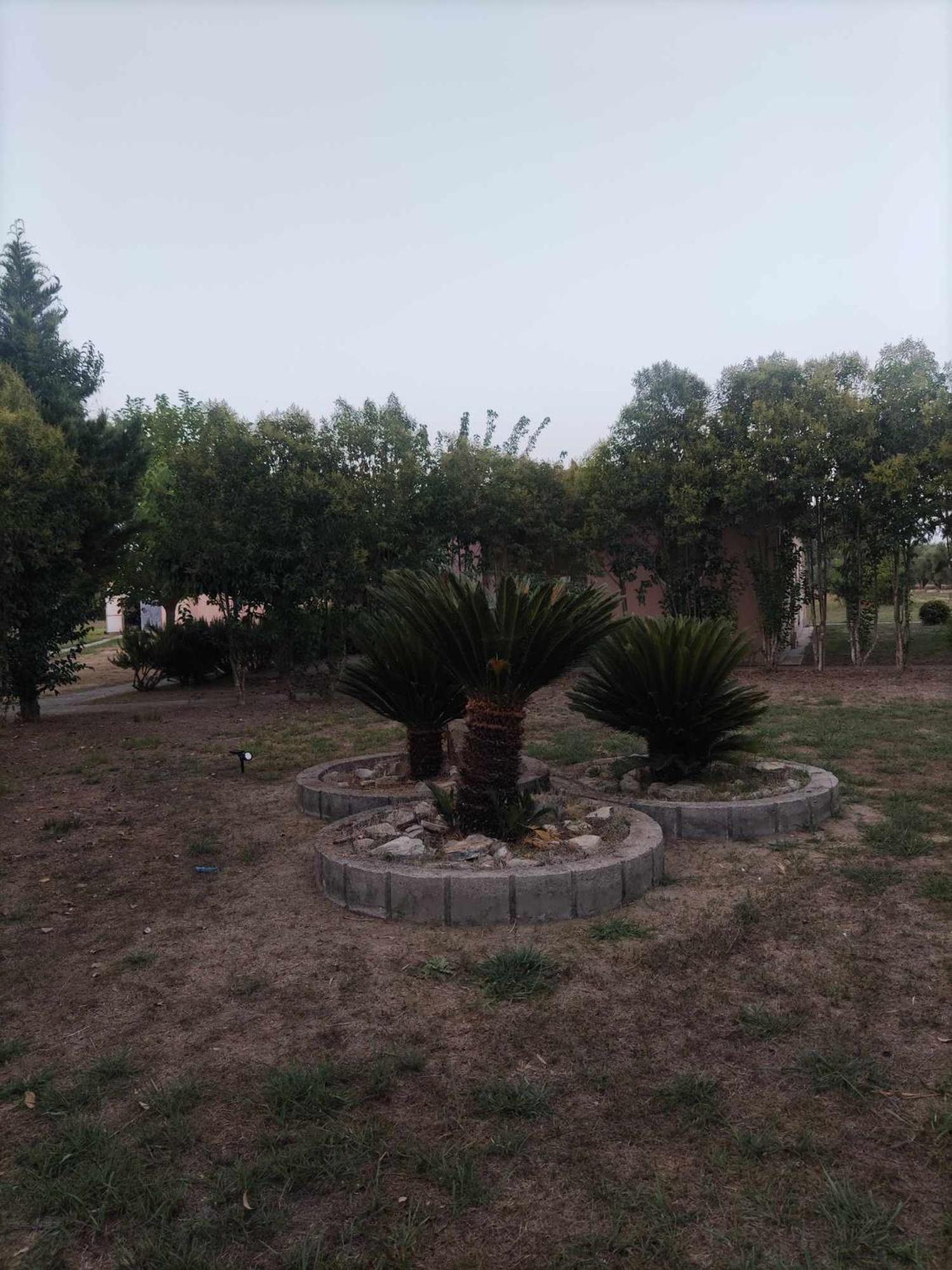 Romvi Village Αμαλιάδα Εξωτερικό φωτογραφία