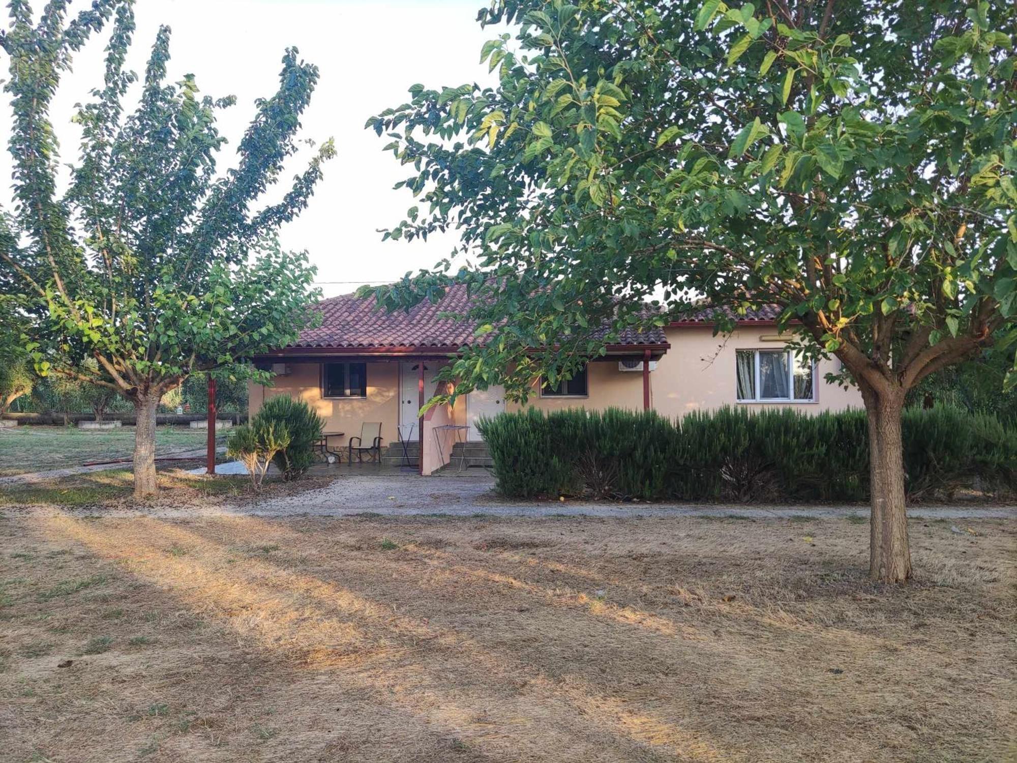 Romvi Village Αμαλιάδα Εξωτερικό φωτογραφία
